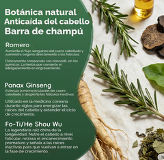 Everluxe Ritual Bar — Ritual Capilar Coreano