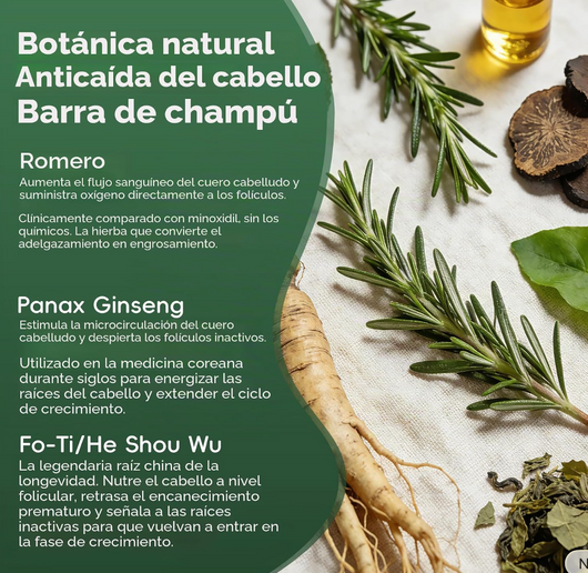Everluxe Ritual Bar — Ritual Capilar Coreano